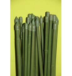 Tutor de bambu plastificado st4544